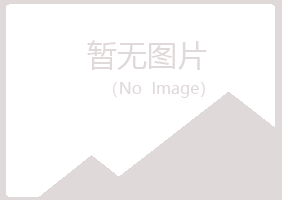 信阳师河冰夏金属有限公司